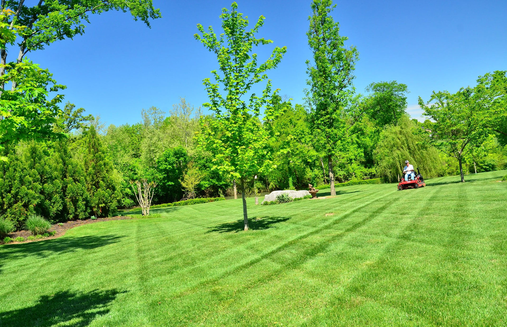 Lawn care best sale grass cutting